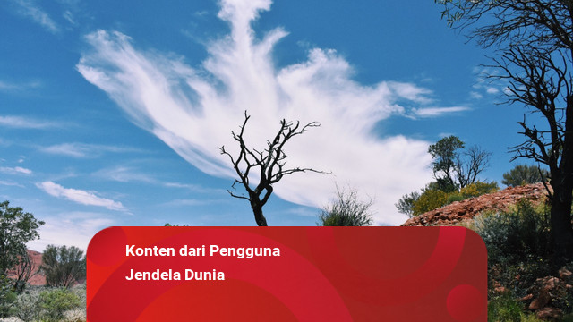 Havana Hills Tanpa Antre: Rahasia Pagi-Pagi di Cilacap