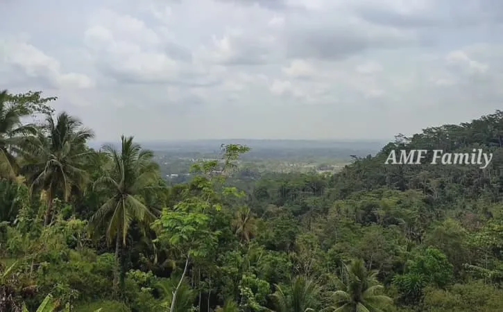 Puncak Wadas Tumpang: Rahasia Kunjungan Tanpa Antrean di Cilacap