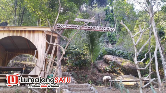 Puncak Wadas Tumpang: Cilacap's Natural Haven for Meditation and Serenity